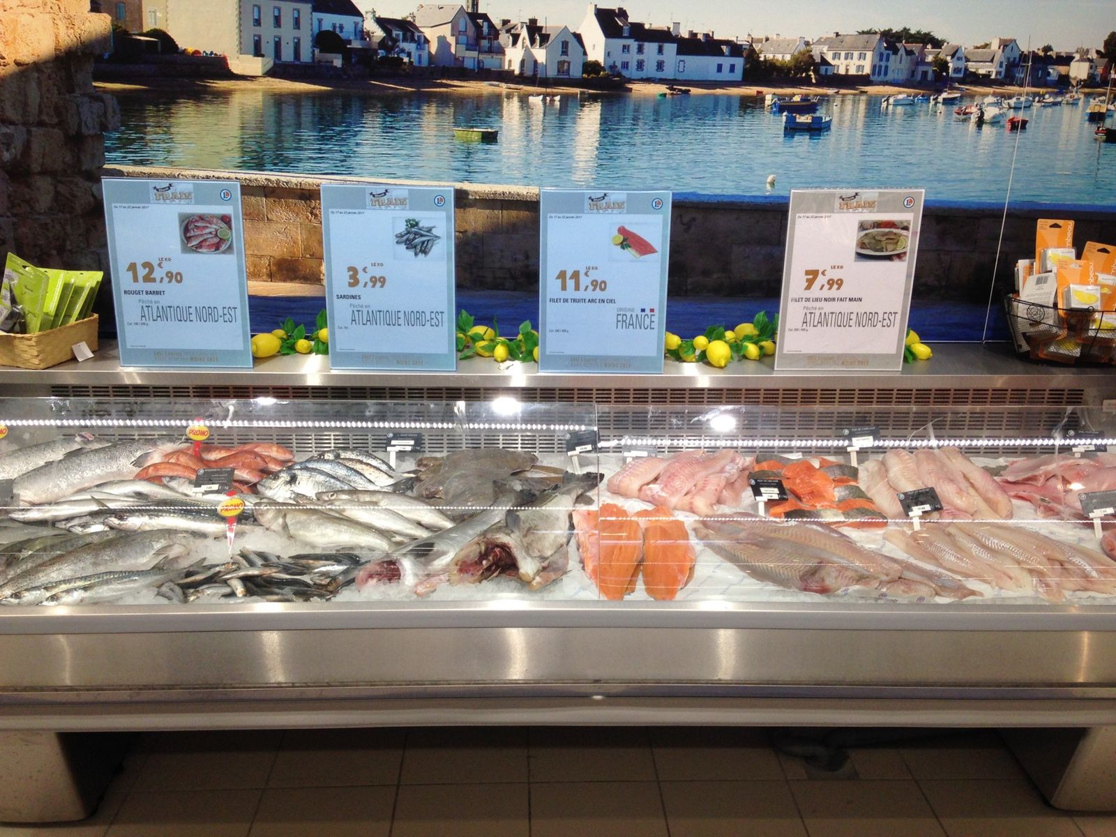 Vitrine réfrigérée à poisson garnie de poissons entiers, de filets et de pavés de saumon